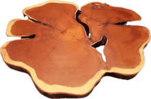 Laden Sie das Bild in den Galerie-Viewer, Baumscheiben 35-40cm- "Trérist-Tvöfalt"