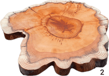 Laden Sie das Bild in den Galerie-Viewer, Baumscheiben 35cm- "Trérist-Auðvelt"