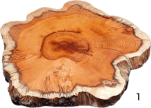 Laden Sie das Bild in den Galerie-Viewer, Baumscheiben 35cm- "Trérist-Auðvelt"