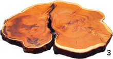 Laden Sie das Bild in den Galerie-Viewer, Baumscheiben 35-40cm- "Trérist-Tvöfalt"