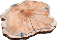 Laden Sie das Bild in den Galerie-Viewer, Baumscheiben 35cm- "Trérist-Auðvelt"