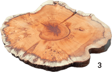 Laden Sie das Bild in den Galerie-Viewer, Baumscheiben 35cm- "Trérist-Auðvelt"