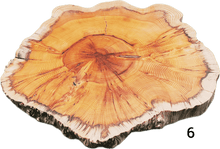 Laden Sie das Bild in den Galerie-Viewer, Baumscheiben 35cm- "Trérist-Auðvelt"