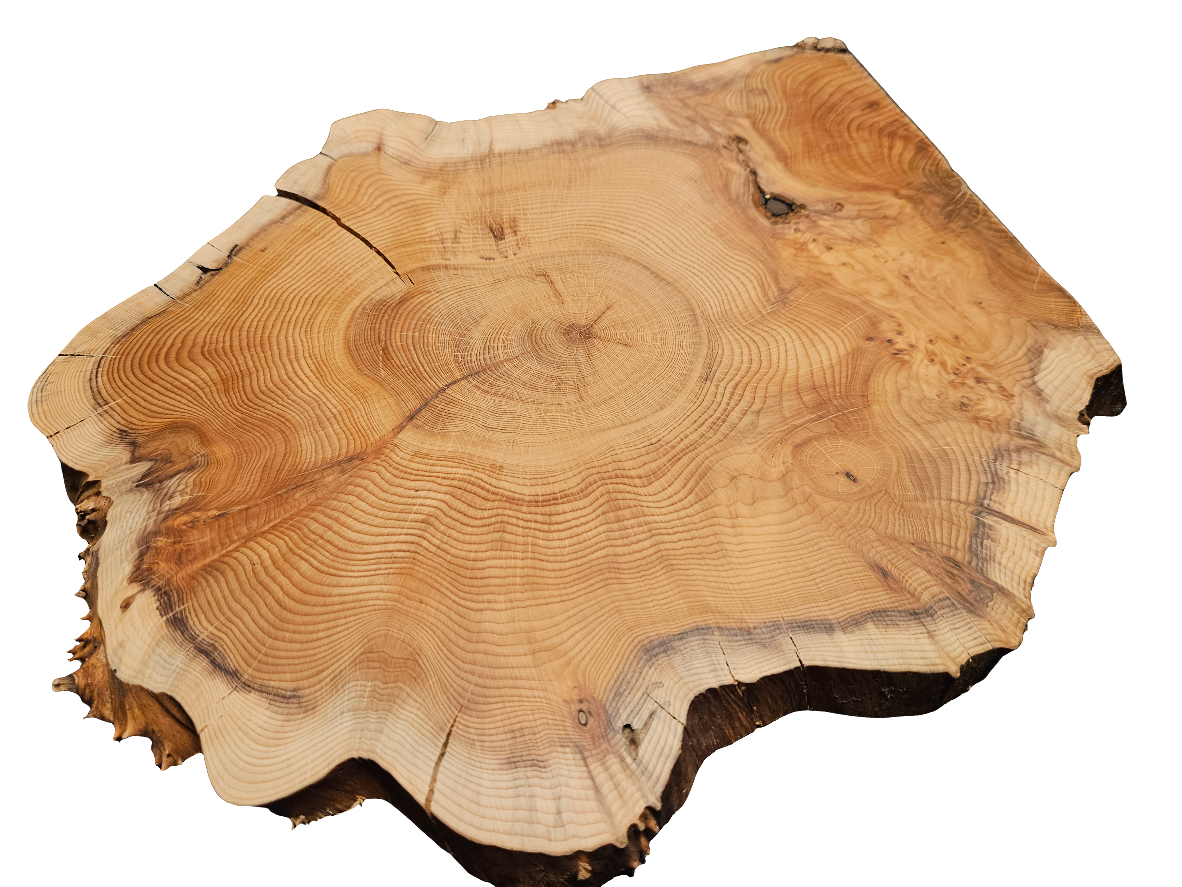 fagus mähdrescher Mähdrescher 