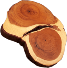 Load image into Gallery viewer, &quot;Tvöfalt&quot; stem discs small 9-11cm 
