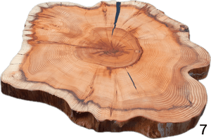 "Trérist-Auðvelt" stem discs "simple" 