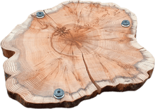 Load image into Gallery viewer, &quot;Trérist-Auðvelt&quot; stem discs &quot;simple&quot; 
