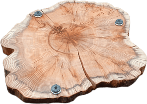 "Trérist-Auðvelt" stem discs "simple" 