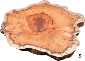 "Trérist-Auðvelt" stem discs "simple" 