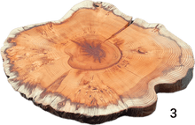 Load image into Gallery viewer, &quot;Trérist-Auðvelt&quot; stem discs &quot;simple&quot; 
